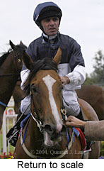 Return to scale (12994 bytes)