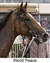 World Peace (13040 bytes)