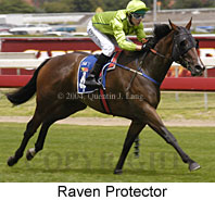 Raven Protector (15374 bytes)