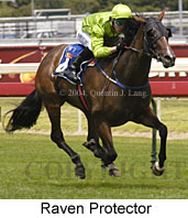 Raven Protector (15330 bytes)