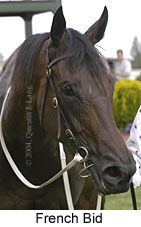 French Bid (10250 bytes)