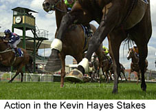 Remote Action (15884 bytes)