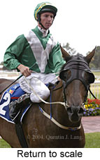 Return to scale (12162 bytes)