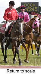 Return to scale (16054 bytes)