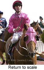 Return to scale (13273 bytes)