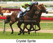 Crystal Sprite (14772 bytes)