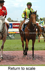 Return to scale (14008 bytes)