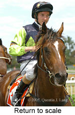 Return to scale (14008 bytes)