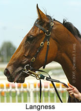 Langness (14772 bytes)