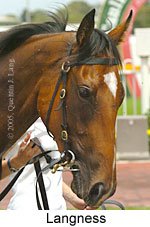 Langness (14772 bytes)