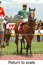 Return to scale (14008 bytes)