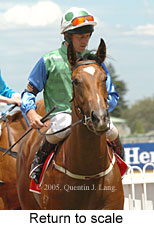 Return to scale (14008 bytes)