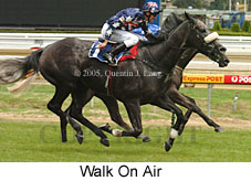 Walk On Air (14772 bytes)