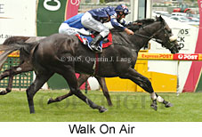 Walk On Air (14772 bytes)