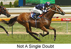 Not A Single Doubt (16081 bytes)