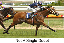 Not A Single Doubt (14772 bytes)