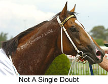 Not A Single Doubt (14772 bytes)