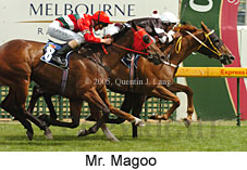 Mr. Magoo (14772 bytes)