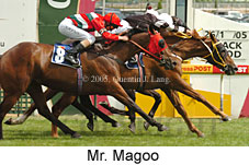 Mr. Magoo (14772 bytes)