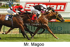 Mr. Magoo (14772 bytes)