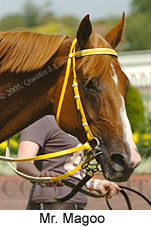 Mr. Magoo (14772 bytes)