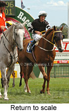 Return to scale (14008 bytes)