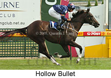 Hollow Bullet (16081 bytes)