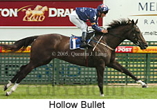 Hollow Bullet (14772 bytes)