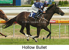 Hollow Bullet (14772 bytes)