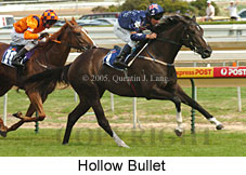 Hollow Bullet (14772 bytes)