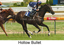 Hollow Bullet (14772 bytes)