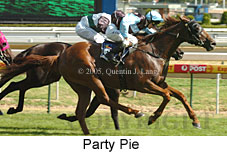 Party Pie (14772 bytes)