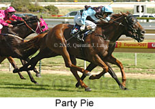 Party Pie (14772 bytes)