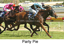 Party Pie (14772 bytes)