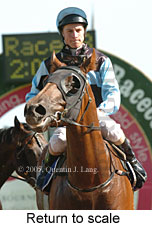 Return to scale (14008 bytes)