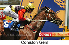 Coniston Gem (14772 bytes)