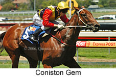 Coniston Gem (14772 bytes)