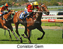 Coniston Gem (14772 bytes)