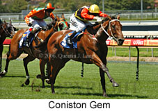 Coniston Gem (14772 bytes)