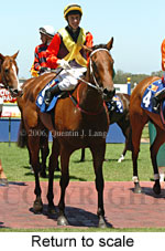 Return to scale (14008 bytes)