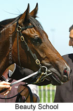 Beauty School (14772 bytes)