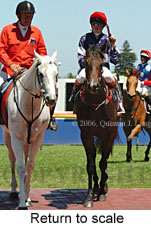 Return to scale (14008 bytes)