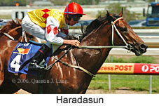 Haradasun (14772 bytes)