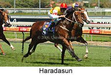 Haradasun (14772 bytes)