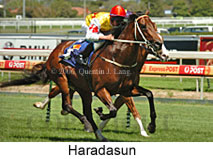 Haradasun (14772 bytes)