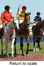 Return to scale (14008 bytes)