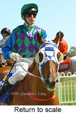 Return to scale (14008 bytes)