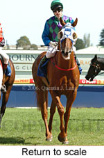 Return to scale (14008 bytes)