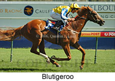 Blutigeroo (14772 bytes)