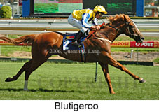 Blutigeroo (14772 bytes)